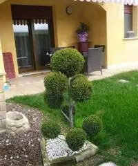 Appartamento di 2 locali in Vendita Appartamento di 2 locali in Vendita