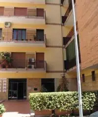 Appartamento in Affitto a 550 Appartamento in Affitto a 550