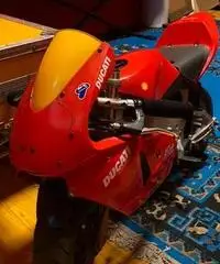 Minimoto polini