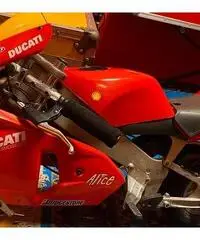 Minimoto polini