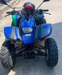 Quad 250 Quad 250