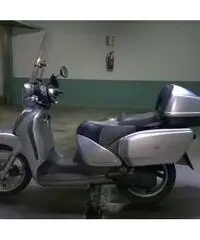 Scoter - Lombardia - Lecco Scoter - Lombardia - Lecco