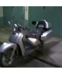 Scoter - Lombardia - Lecco Scoter - Lombardia - Lecco