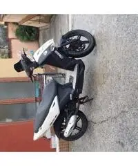 Agility 50 - Campania