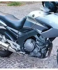 Tdm 900