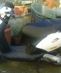 ZIP 50 VENDITA - Lucca