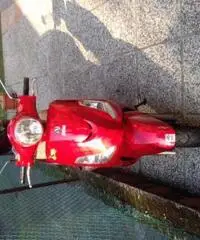 SYM Fiddle II 50S - Milano