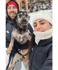 Manutentori, magazzinieri, autista, ammins, ecc Manutentori, magazzinieri, autista, ammins, ecc