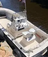 Shamrock 20