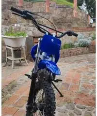 Altro Altro modello - 2016 Altro Altro modello - 2016