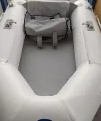 Tender 2 m goldenship