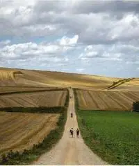 Cammino di Santiago di Compostela!! Cammino di Santiago di Compostela!!