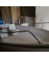 Open 5.50