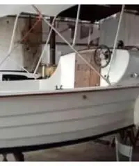 Pilotina cracchi con johnson sea horse 25/50