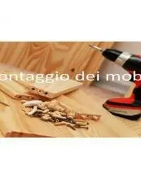 TRASLOCHI BOLOGNA Sgomberi Noleggio MONTAGGIO MOBILI