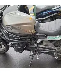 Benelli Leoncino 800 TRAIL ARGENTO