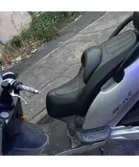 Grand dink 250