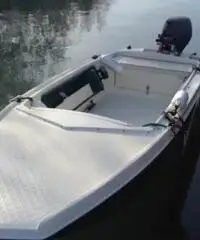 Patanella brube Patanella brube