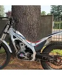 Montesa Cota 260 - 2017