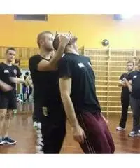 istruttore difesa personale istruttore difesa personale