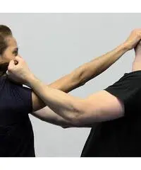 istruttore difesa personale istruttore difesa personale