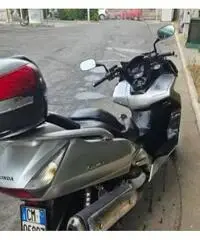 Benelli TRK 502 - 2021