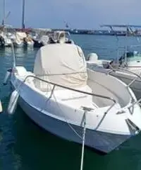 Vendo barca