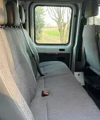 Van Trasposto cavalli