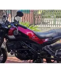 Benelli Leoncino 250