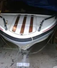 Rio 450 Top con Johnson GT737 e carrello Ellebi