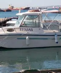 Saver 498 cabin fisher