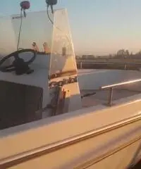 Gobbi con motore johnson