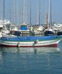 Gozzo con licenza