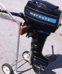 Gommone Tender smontabile con motore