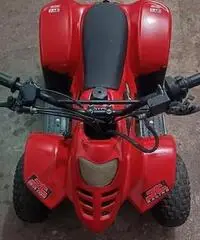 Mini Quad 4 Tempi