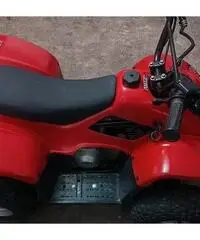 Mini Quad 4 Tempi