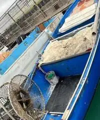 Barca da pesca