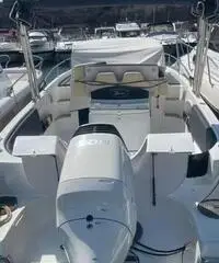 Saver 750 wa con motore suzuki df 300