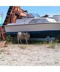 Barca cabinato 6.8 mt con motore 175 cv diesel e trasmission