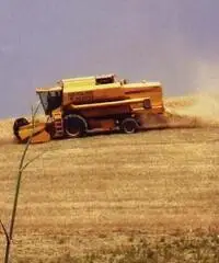 Mietitrebbia NEW HOLLAND TX68 plus Seminuova 1999 Mietitrebbia NEW HOLLAND TX68 plus Seminuova 1999
