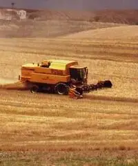 Mietitrebbia NEW HOLLAND TX68 plus Seminuova 1999 Mietitrebbia NEW HOLLAND TX68 plus Seminuova 1999