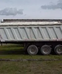 SEMIRIMORCHIO MINERVA EURO 200S