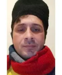 Domestico Domestico