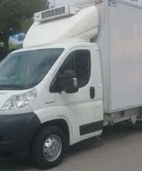 DUCATO 2.3mjt FIRGO -20 GRADI, per SURGELATI