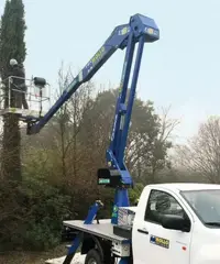 Muratore