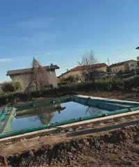 Muratore