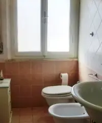 Cecina Mare con giardino e p. auto anche lungomare