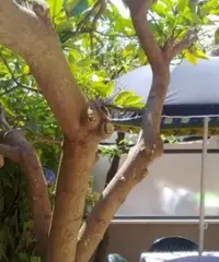 Vacanze al mare di Terracina