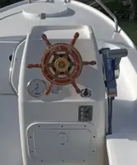 Barca a motore