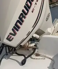 Barca a motore